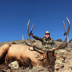 Big 'Ole Bull Elk