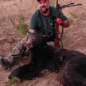 Awesome Bear Score for Hntndux