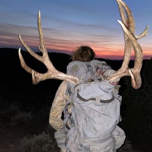 Nevada Muzzy Muley Pack Out