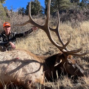 Elk Hunting Fun