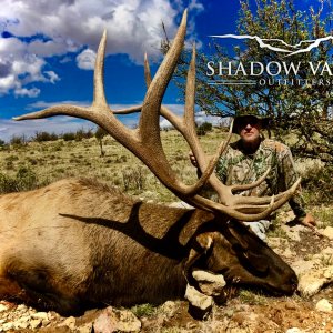 Shadow Valley Outfitters Trophy Bull.jpg