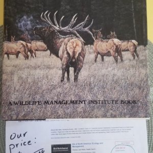 Elk of North America.jpg