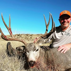 Wyoming Mule Deer 3.jpg