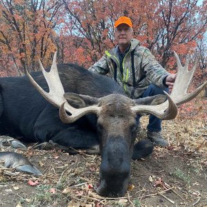 Utah Moose Hunting.jpg