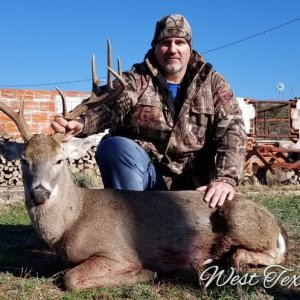 Texas Whitetail Hunts.jpg