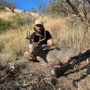 Coues Buck Mexico 3.jpeg