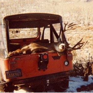 Colorado Monster from 1980
