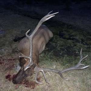 NE Elk Hunt 409.jpg