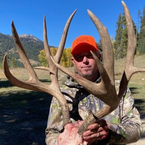 Big Wyoming Buck 2.JPG