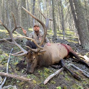 H and A Outfitters Big 6x6 Bull.JPG