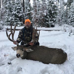 Huge Colorado Buck