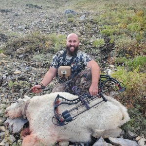 High Country Archery Goat