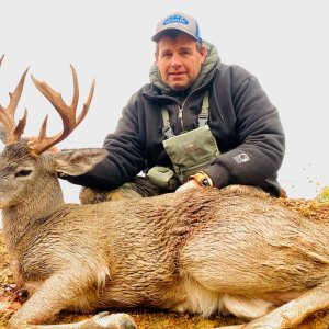 Mexico Coues Buck 3.jpg