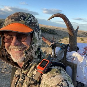 2023 Wyoming Antelope