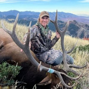 Bull Elk with Bearpaw Outfitters.JPG