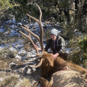Arizona Late Elk Success