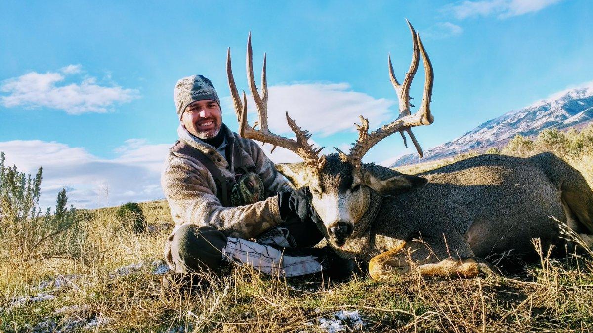 37 Point Monster Muley