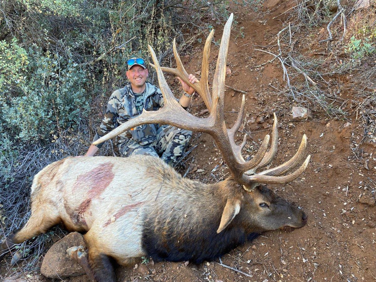 Arizona Elk 3.jpg