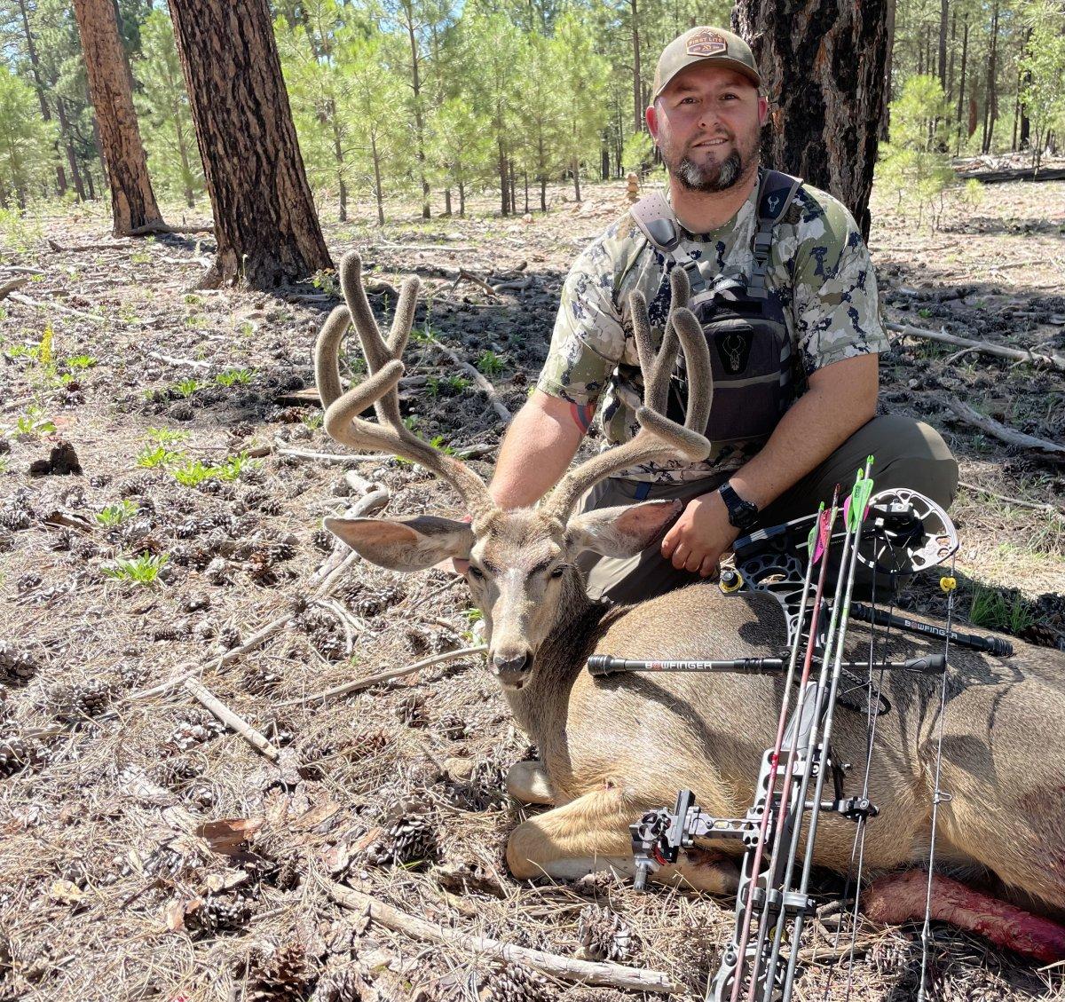 August archery mule deer-AZ