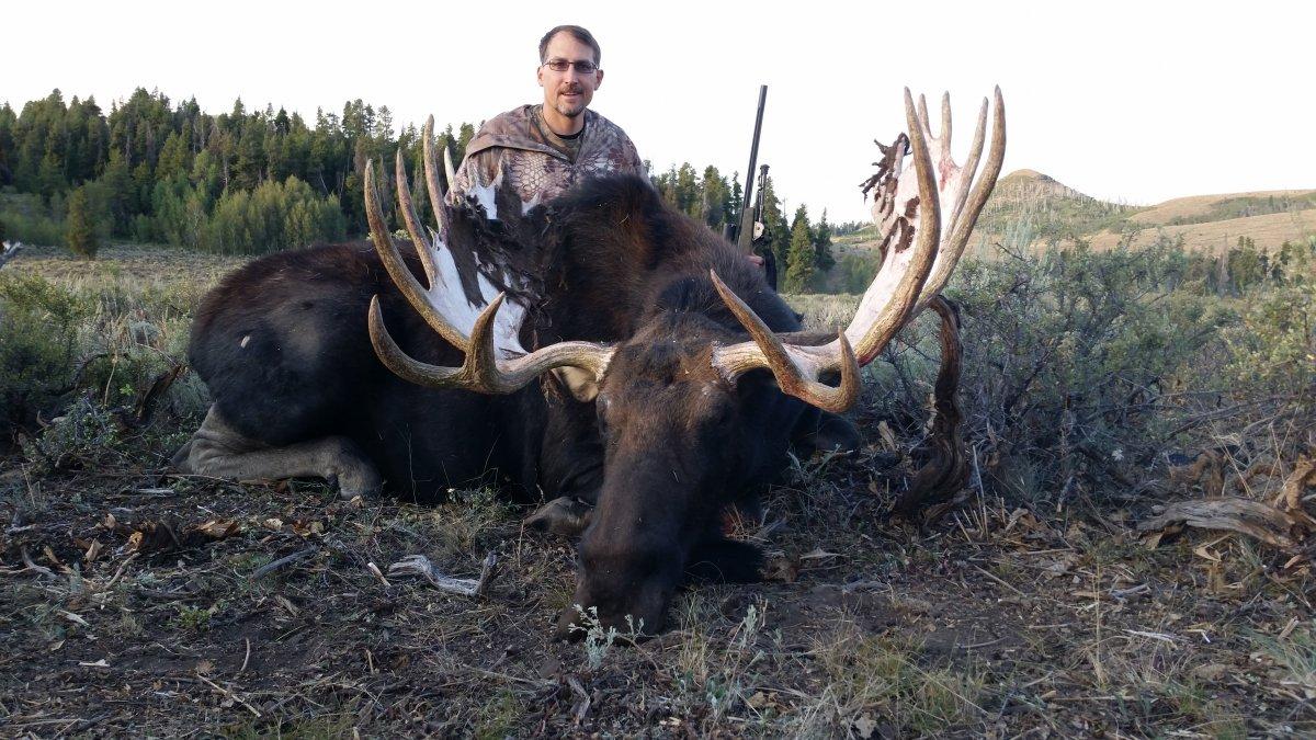 Awesome Bull Moose for 30Hart