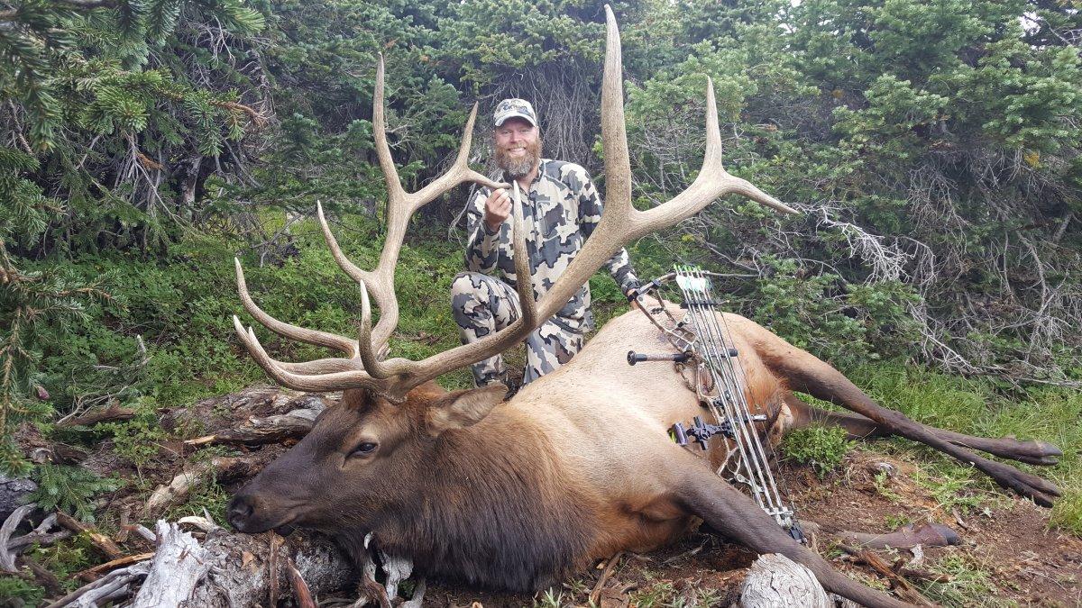 Awesome Trophy Bull