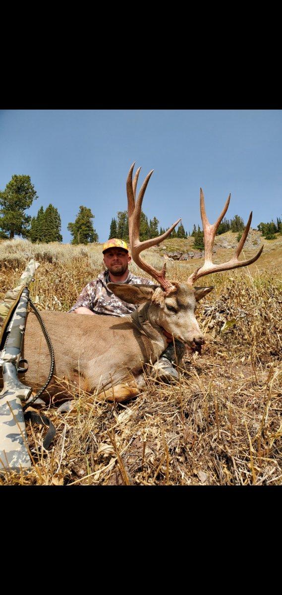 Big Buck for hornkiller