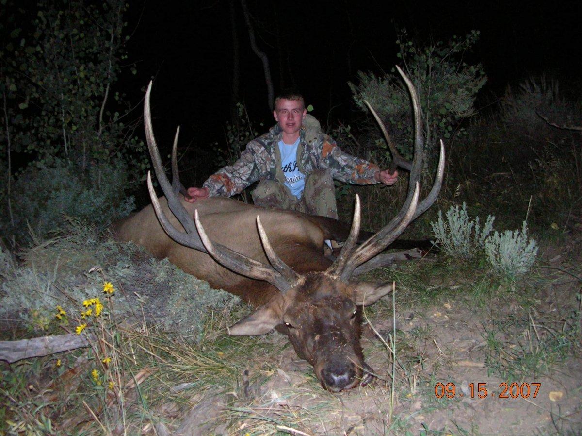 Big Bull Elk for StraightSix