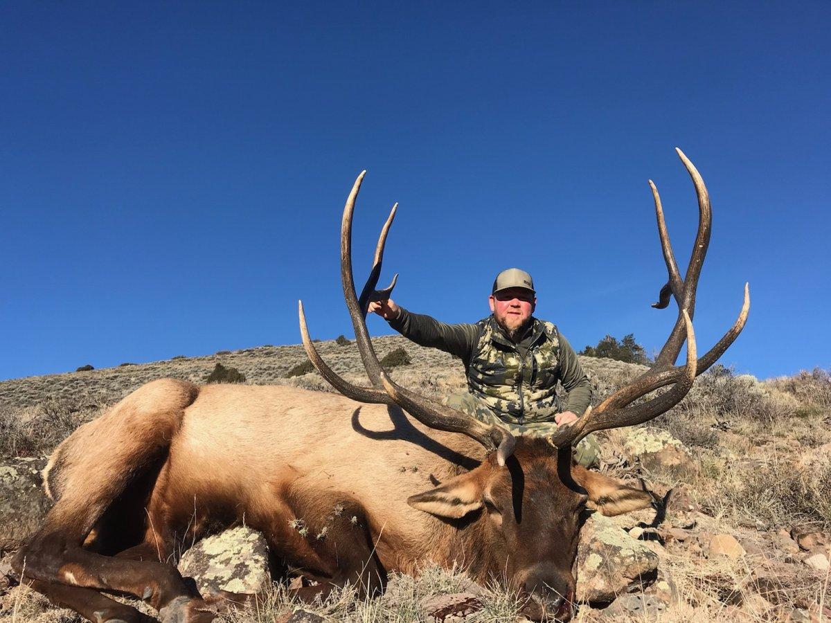 Big 'Ole Bull Elk
