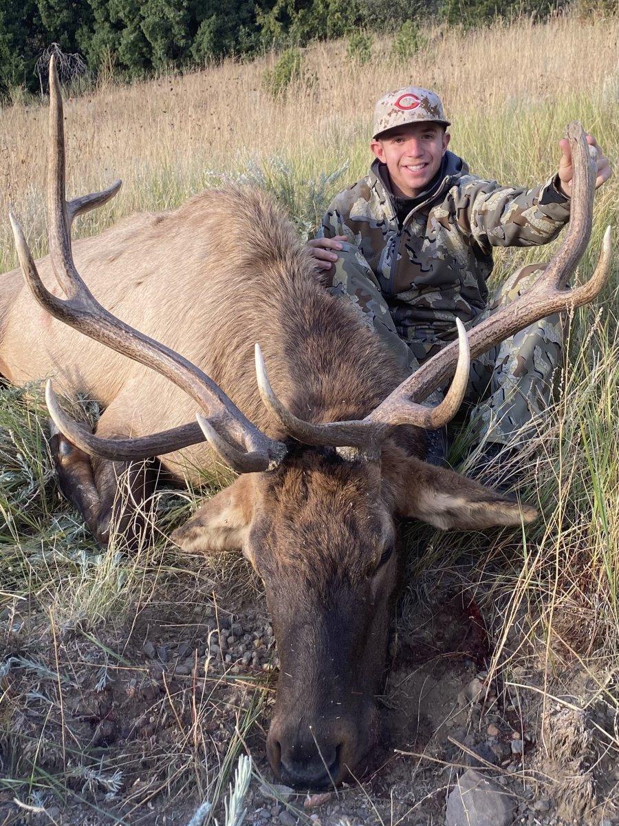 Bull Elk Hunting Success