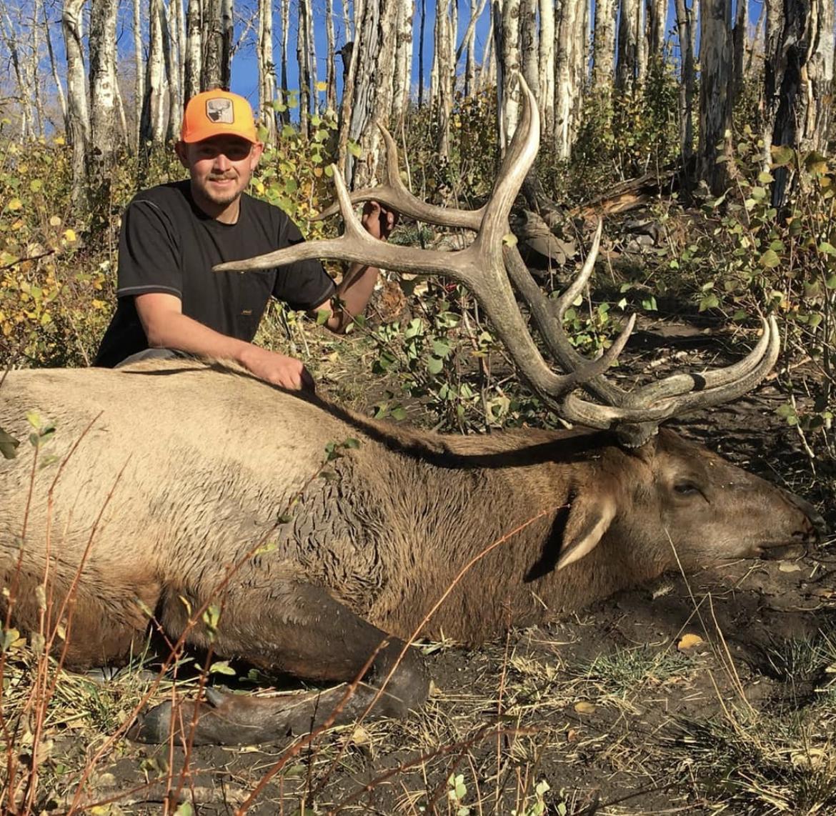 Colorado Bull Elk Hunting