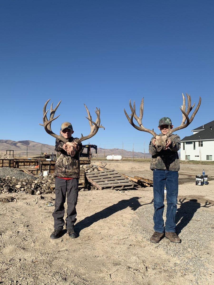 Couple Monster Muleys
