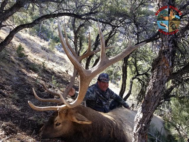 Elk Hunting Success