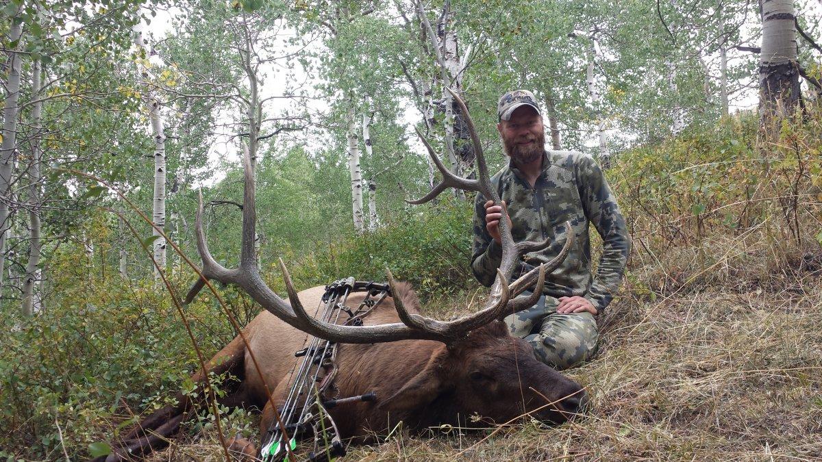 Elk Hunting Success