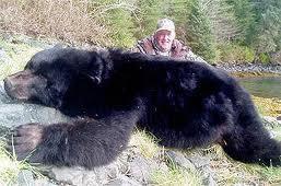 Good Lookin' Black Bear
