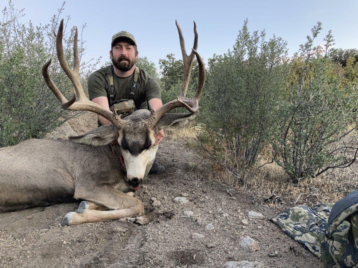 Great Looking Nevada Muley