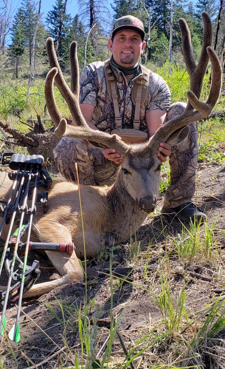 Great Looking Velvet Archery Muley for COZY25