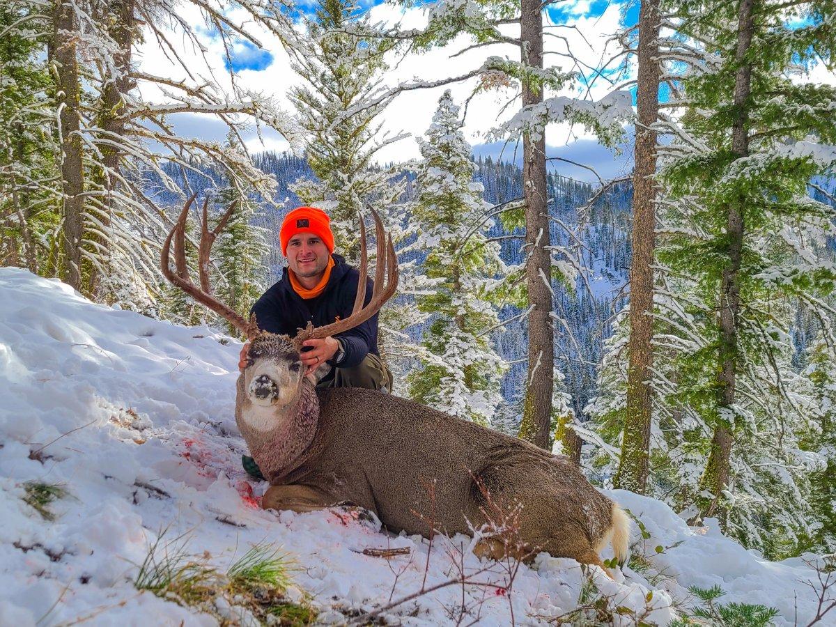 High Country Buck for Dioni