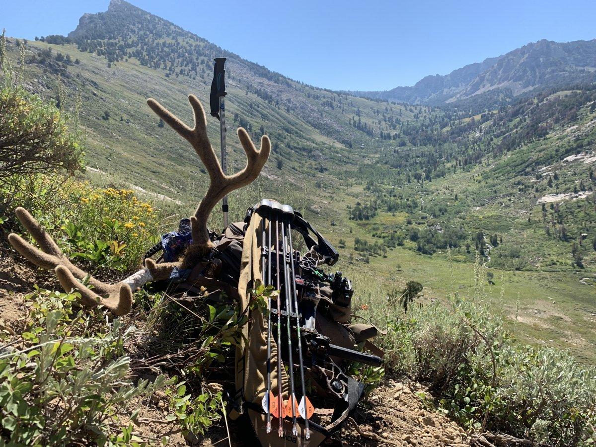 High Country Trophy Buck