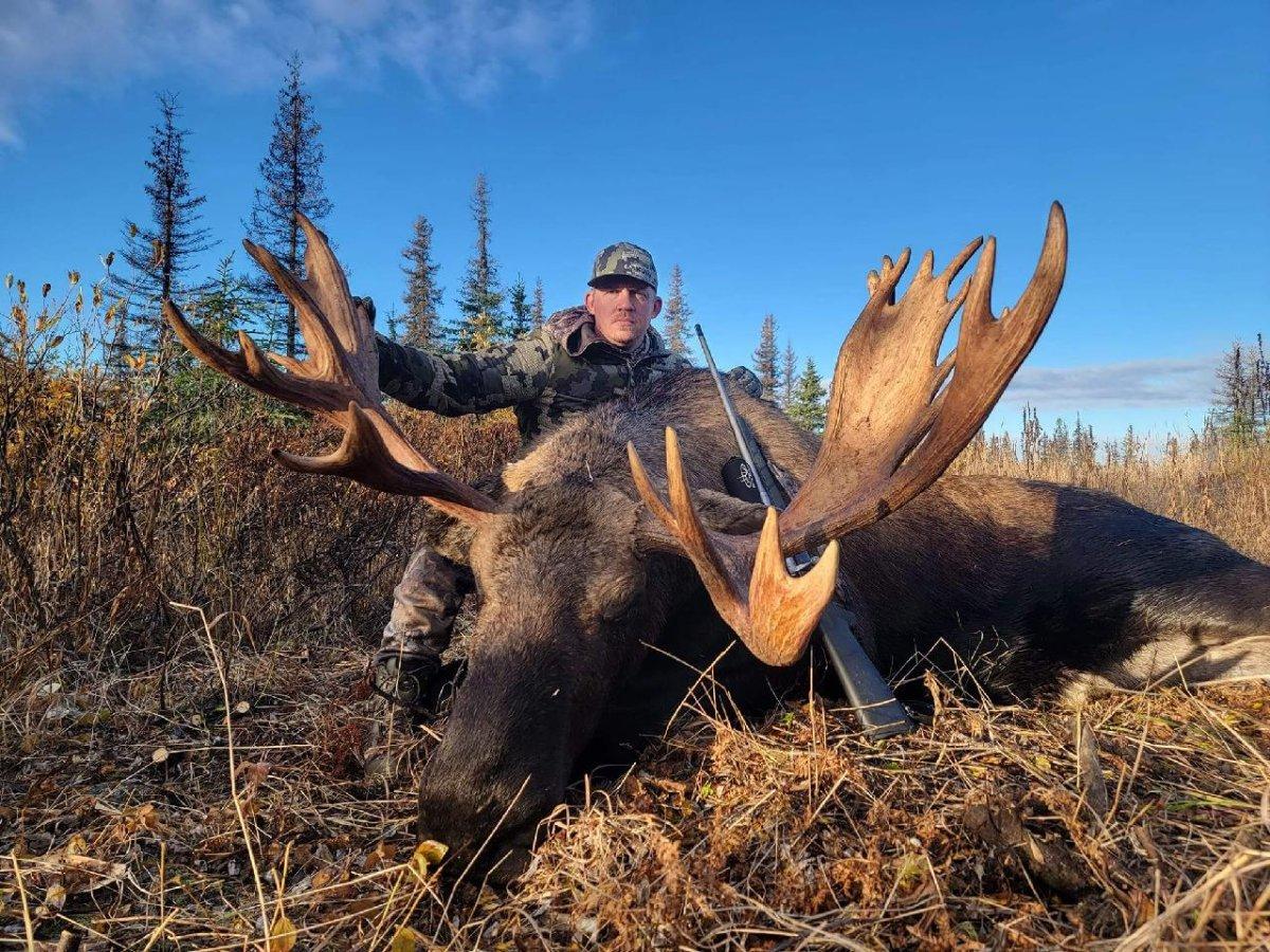 Huge Alaskan Moose.jpeg