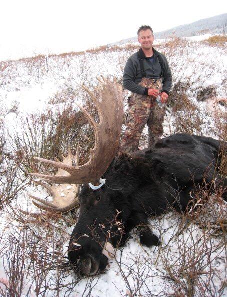Huge Trophy Bull Moose