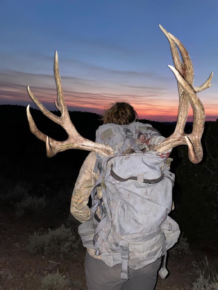 Nevada Muzzy Muley Pack Out