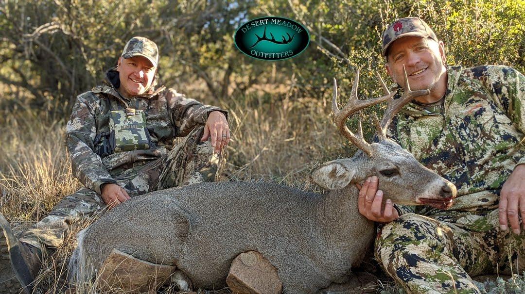 New Mexico Coues Deer