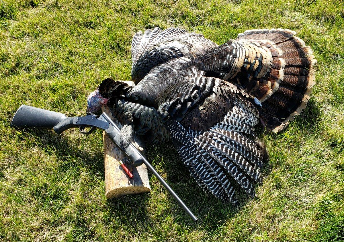 Turkey Hunting Time!