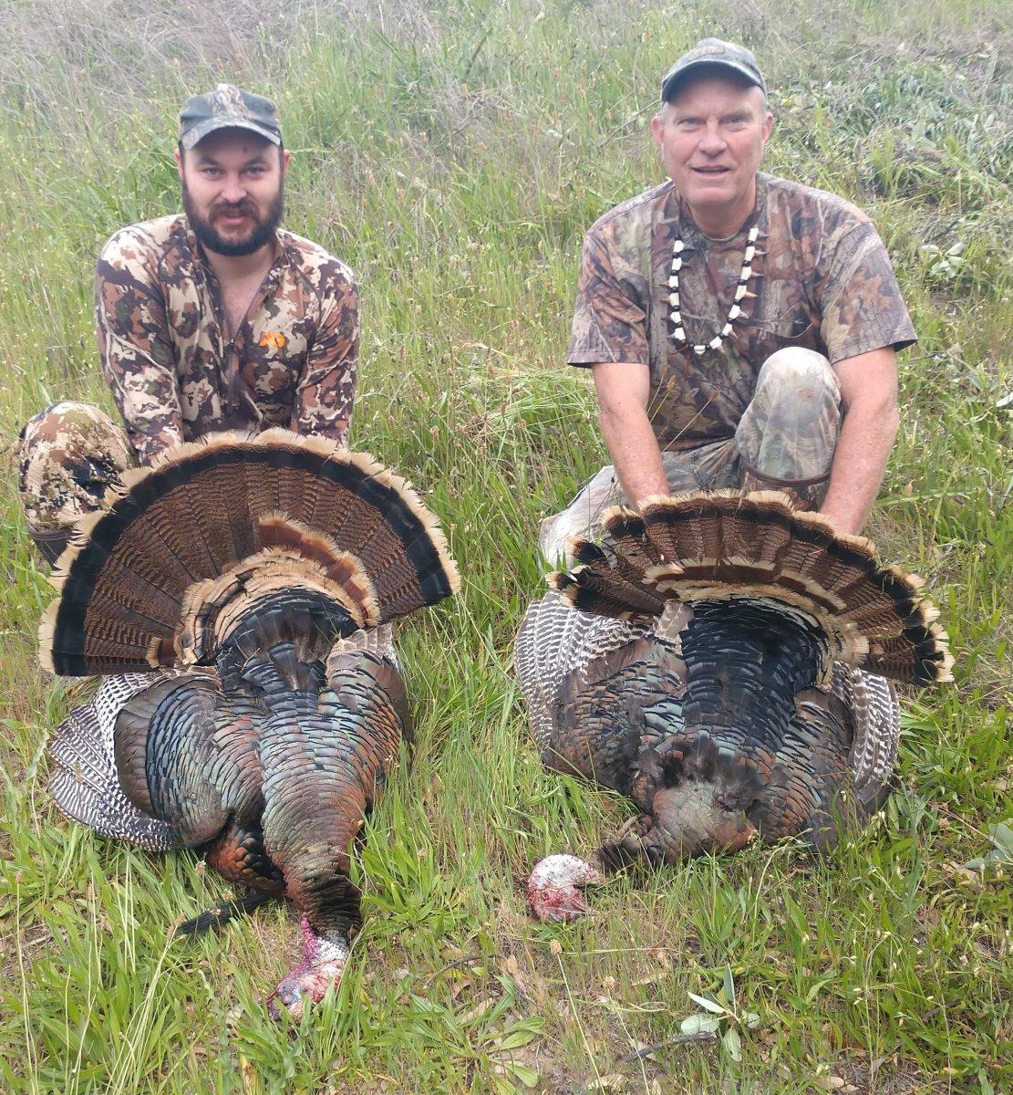 Wine Country Gobblers