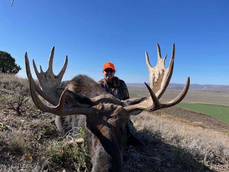 Wyoming Bull Moose.jpg
