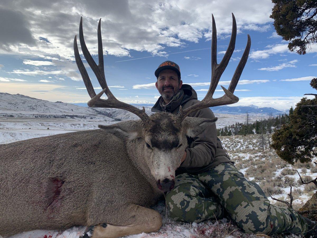 Wyoming Mule Deer Hunting Succes