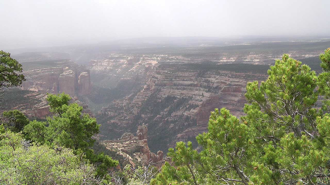 Arch-canyon.jpg
