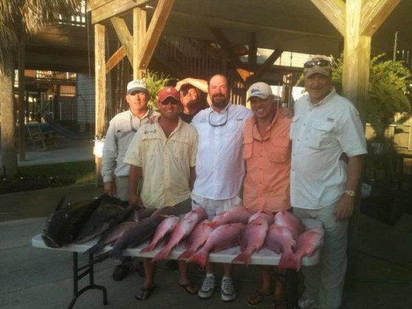 8050group_pic_snapper_and_cobia.jpg